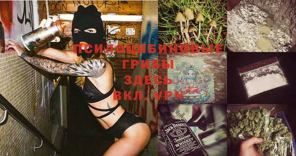 МДМА Богданович