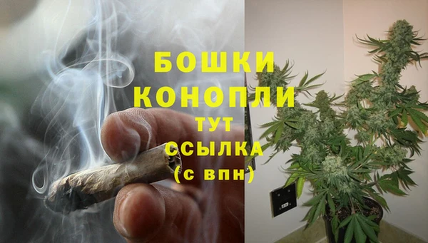 соль ск Богородицк