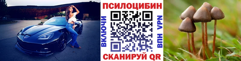 Галлюциногенные грибы ЛСД  Купить закладки  Тихвин 